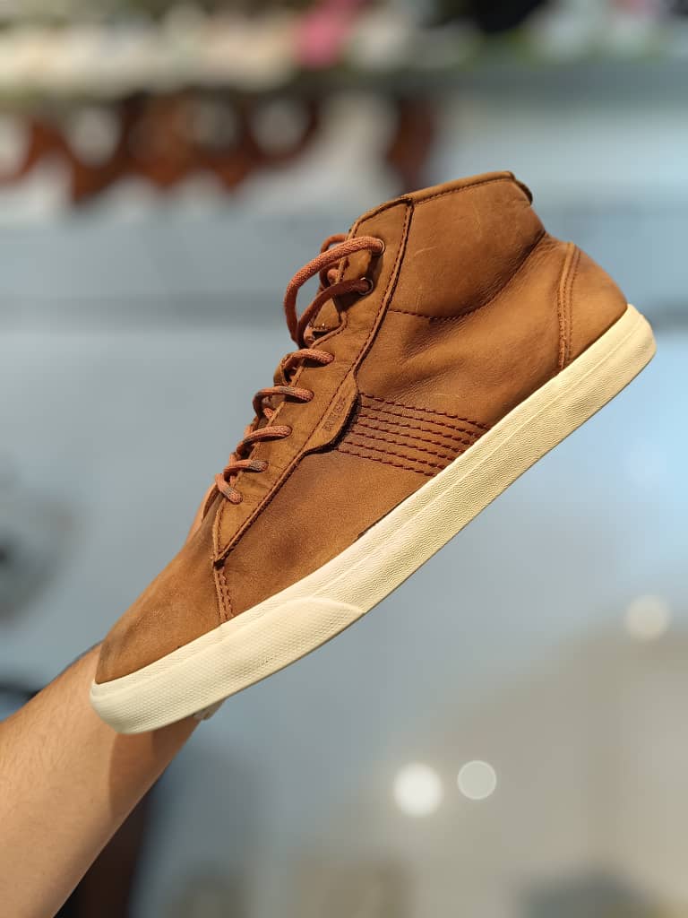 WhatsApp Image 2025-10-27 at 23.09.37